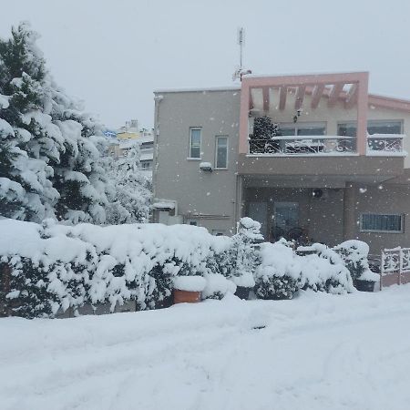 Violet Studio Με Πισίνα Volos Buitenkant foto