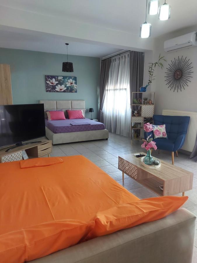 Violet Studio Με Πισίνα Appartement Volos Buitenkant foto